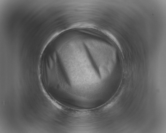 X0000068740997200605121539