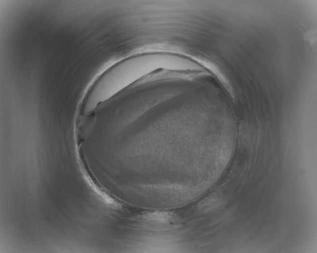 X0000068740998200605121539