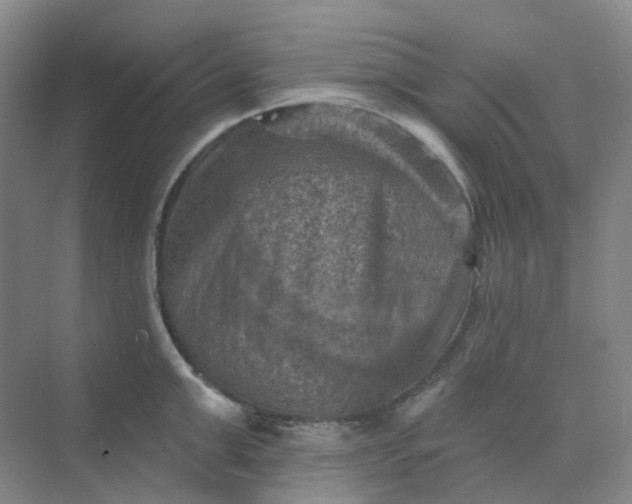 X0000068740999200605121539