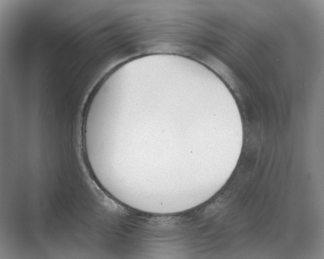 X0000068741000200605121539