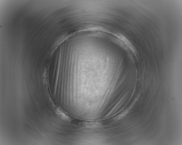 X0000068741001200605121539