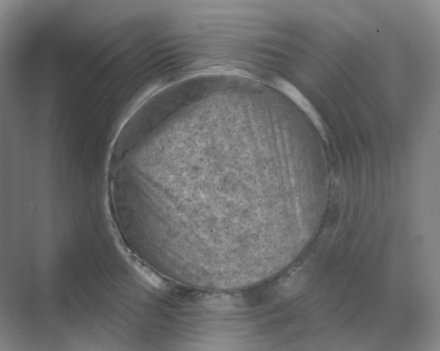 X0000068741002200605121539