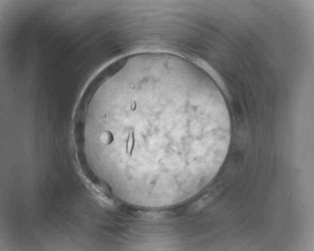 X0000068741004200605121539