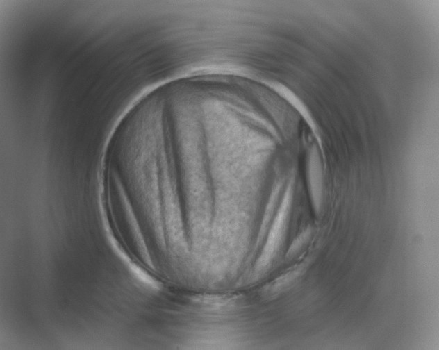 X0000068741005200605121539