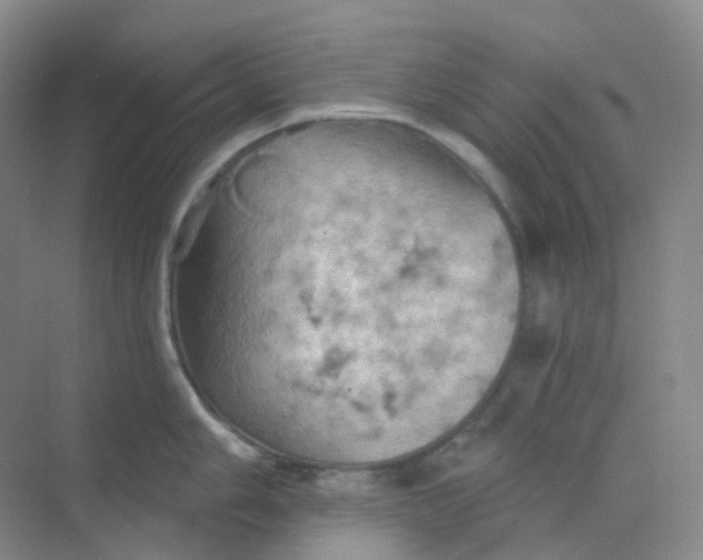 X0000068741006200605121539