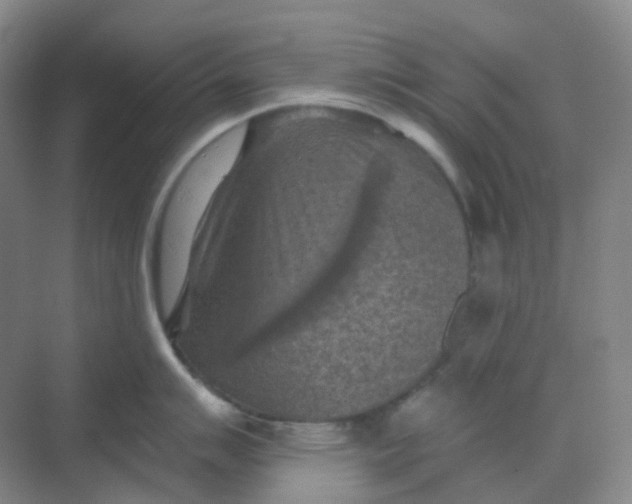 X0000068741007200605121539