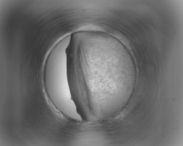 X0000068741008200605121539