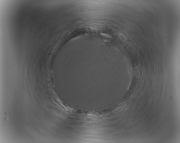 X0000068741009200605121538