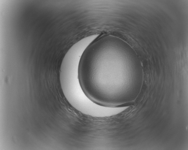 X0000068741010200605121538