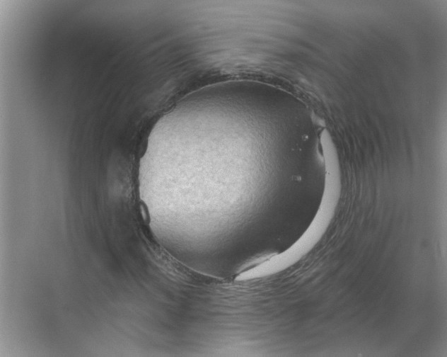 X0000068741012200605121538