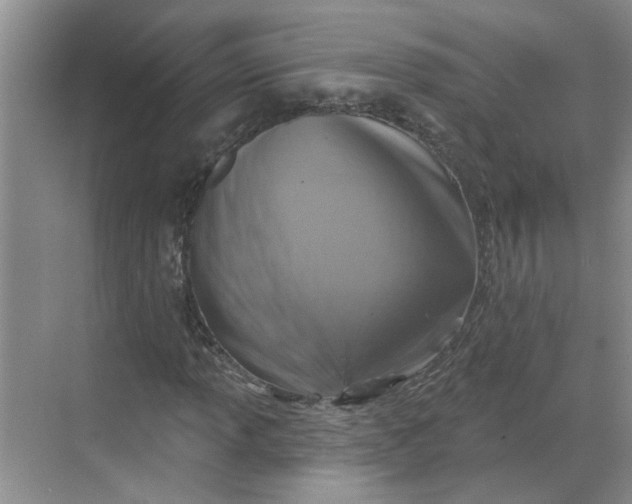 X0000068741013200605121538