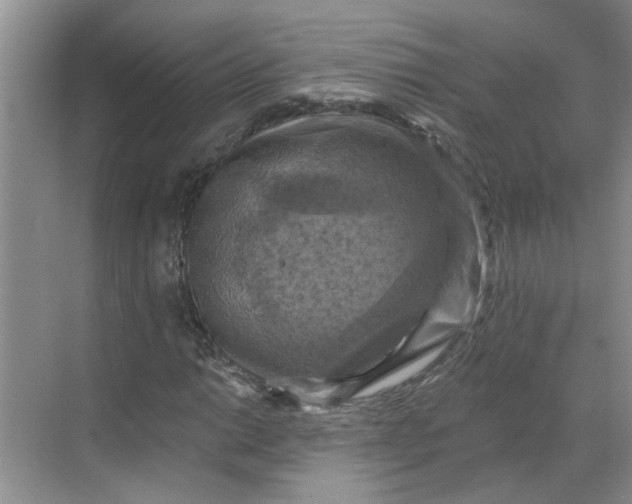 X0000068741014200605121538