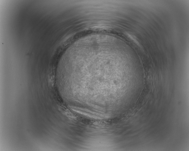 X0000068741015200605121538