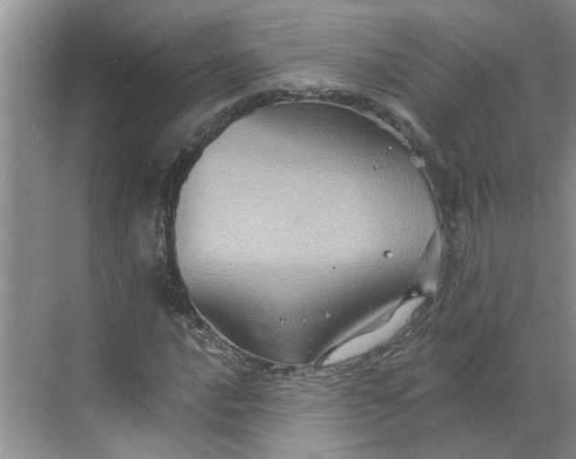 X0000068741016200605121538