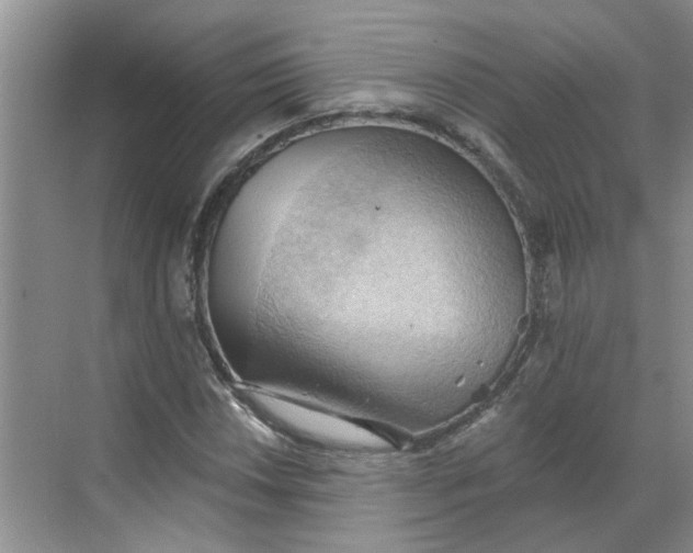 X0000068741018200605121538