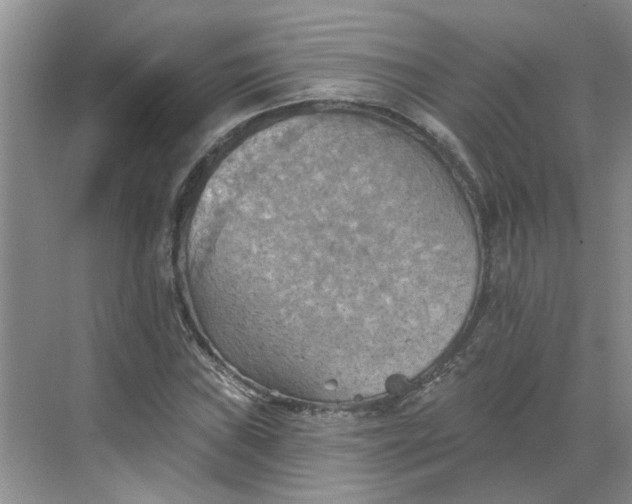 X0000068741019200605121538