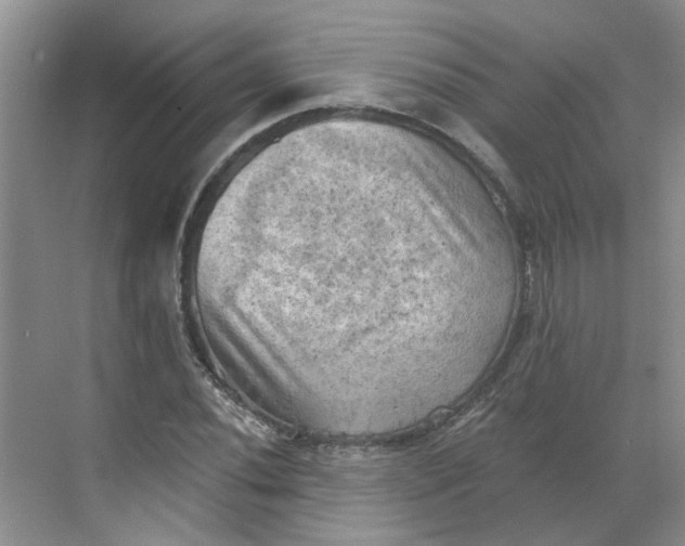 X0000068741020200605121538