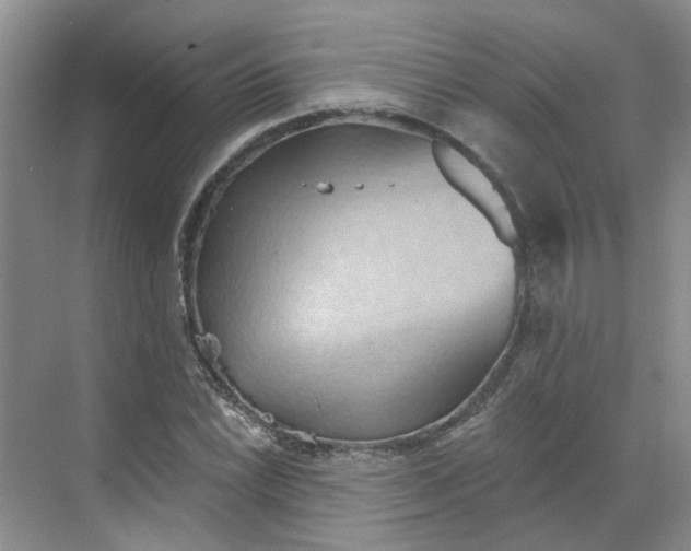 X0000068741022200605121538