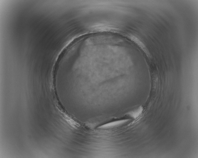 X0000068741023200605121538