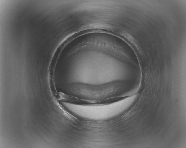 X0000068741024200605121538