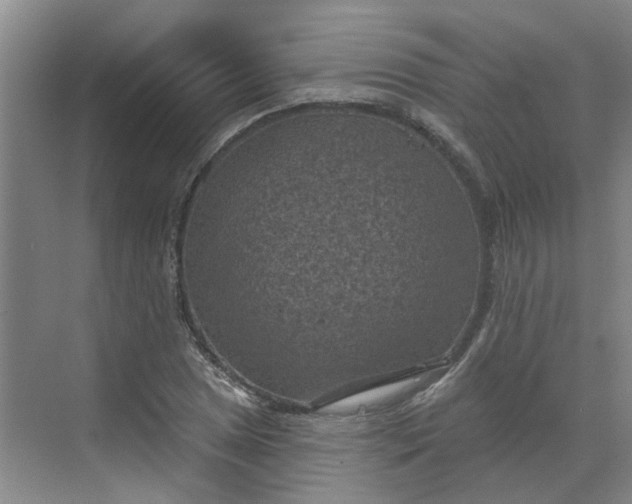 X0000068741025200605121538