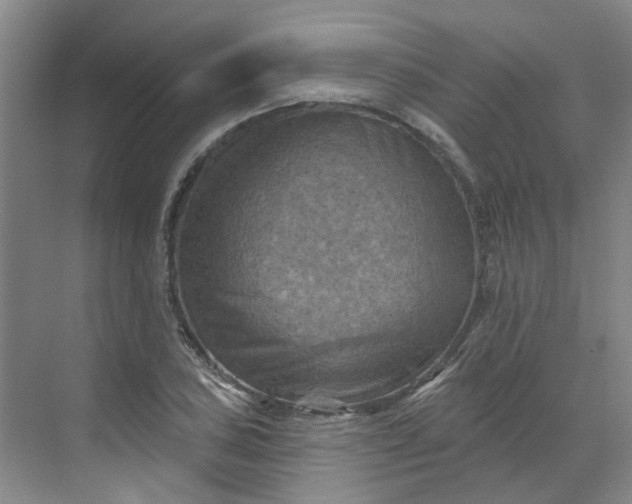 X0000068741027200605121538