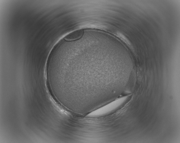 X0000068741028200605121538