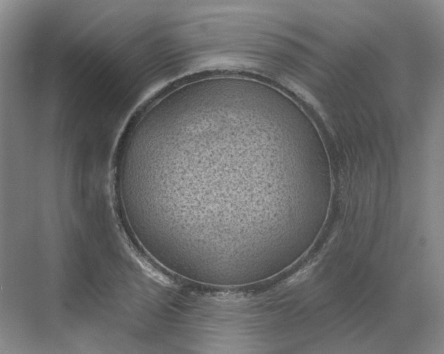 X0000068741029200605121538