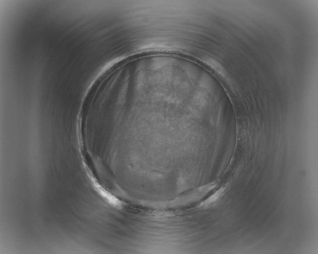 X0000068741030200605121538