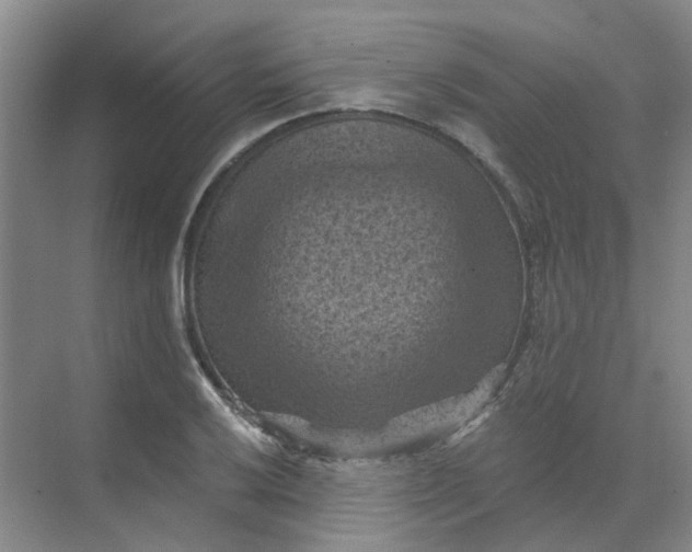 X0000068741032200605121538