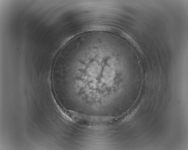 X0000068741033200605121538