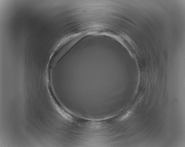 X0000068741034200605121538