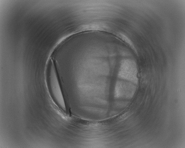 X0000068741035200605121538