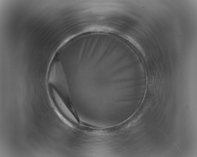 X0000068741037200605121539