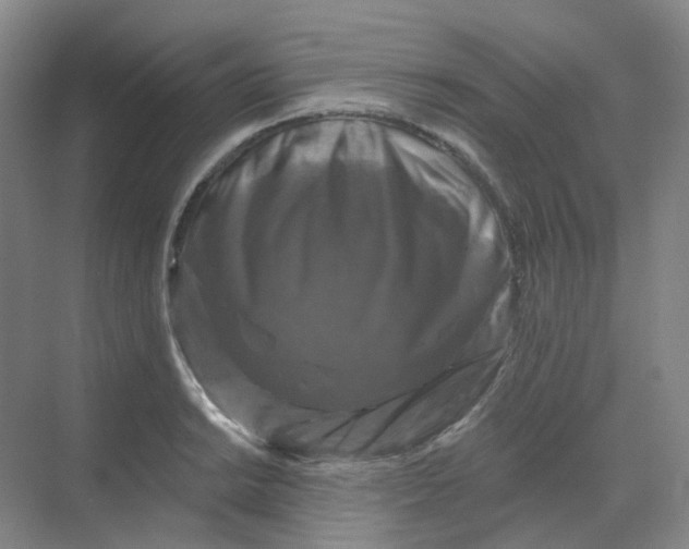 X0000068741038200605121539