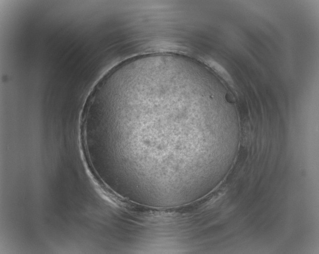 X0000068741039200605121539