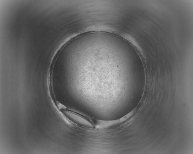 X0000068741040200605121539