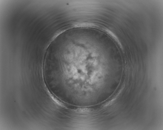 X0000068741041200605121539