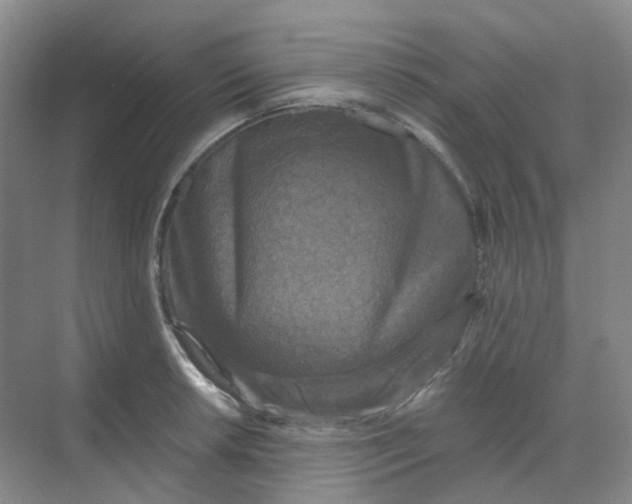 X0000068741042200605121539