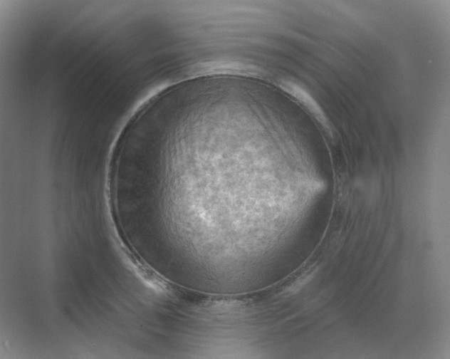 X0000068741043200605121539