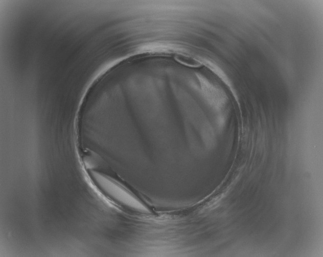 X0000068741045200605121539