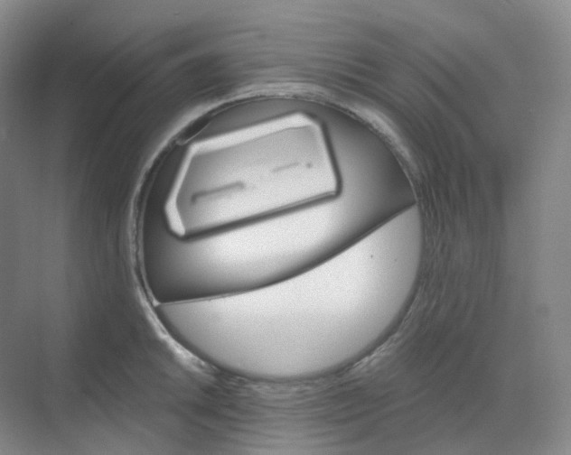 X0000068741046200605121539