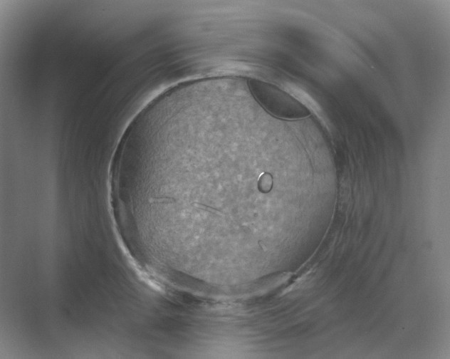 X0000068741047200605121539