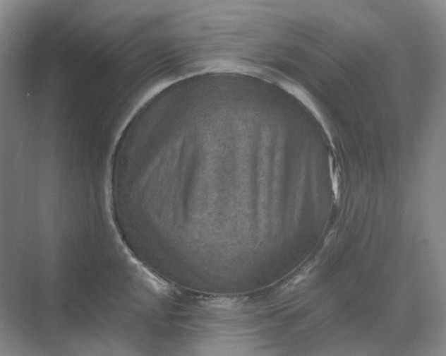 X0000068741048200605121539