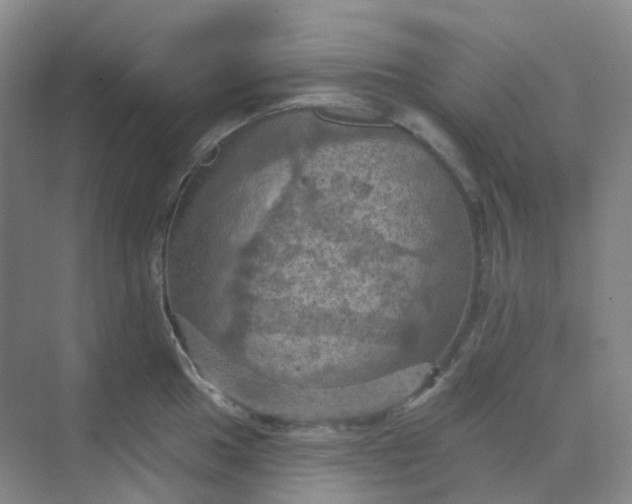 X0000068741049200605121539