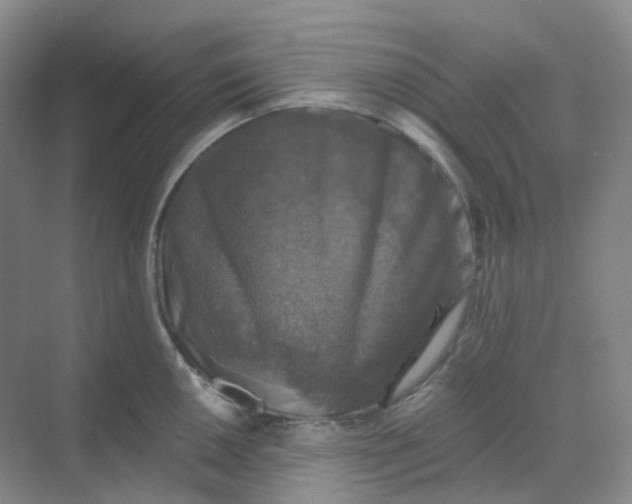 X0000068741050200605121539