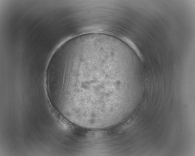 X0000068741051200605121539