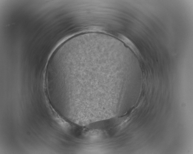 X0000068741052200605121539