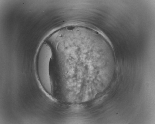 X0000068741053200605121539