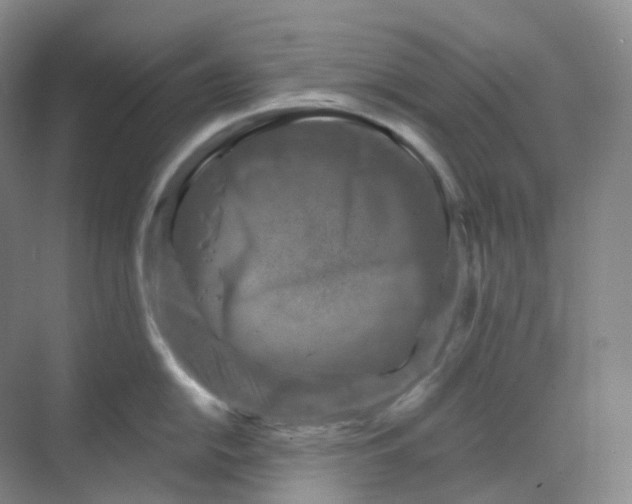 X0000068741054200605121539